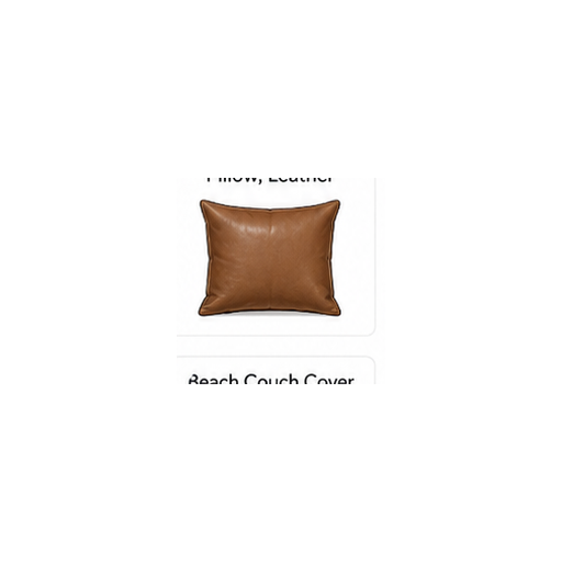 Pillow, Leather